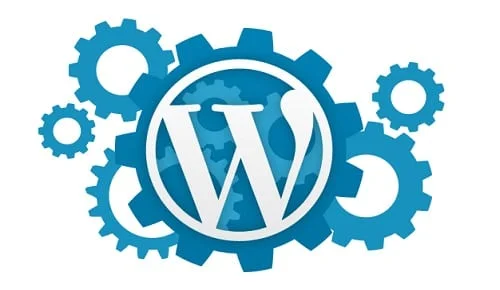 Soporte especializado WordPress