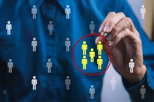 Estrategia digital para nicho de mercado