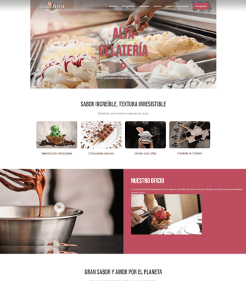 diseño página web benditapaleta